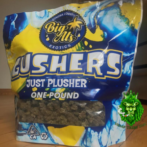 import placeholder for 10223
