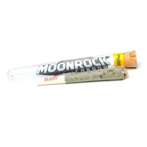 import placeholder for 10172